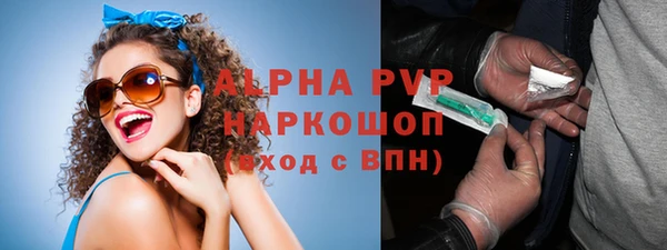 альфа пвп Новодвинск