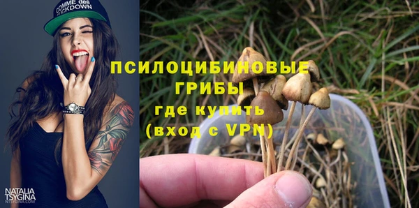 ПСИЛОЦИБИНОВЫЕ ГРИБЫ Соль-Илецк