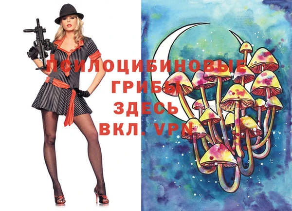 альфа пвп Новодвинск