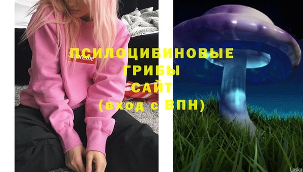 дмт Новозыбков