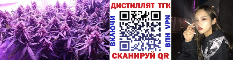 где можно купить наркотик  Камышин  ТГК концентрат 
