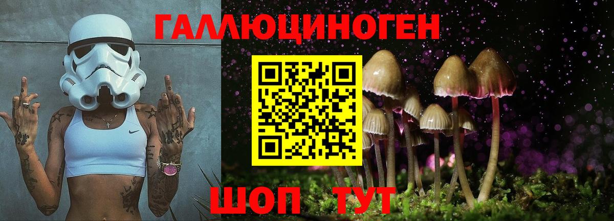 купить закладку  Вход с VPN  Камышин  Галлюциногенные грибы Psilocybine cubensis  Галлюциногенные грибы ЛСД 