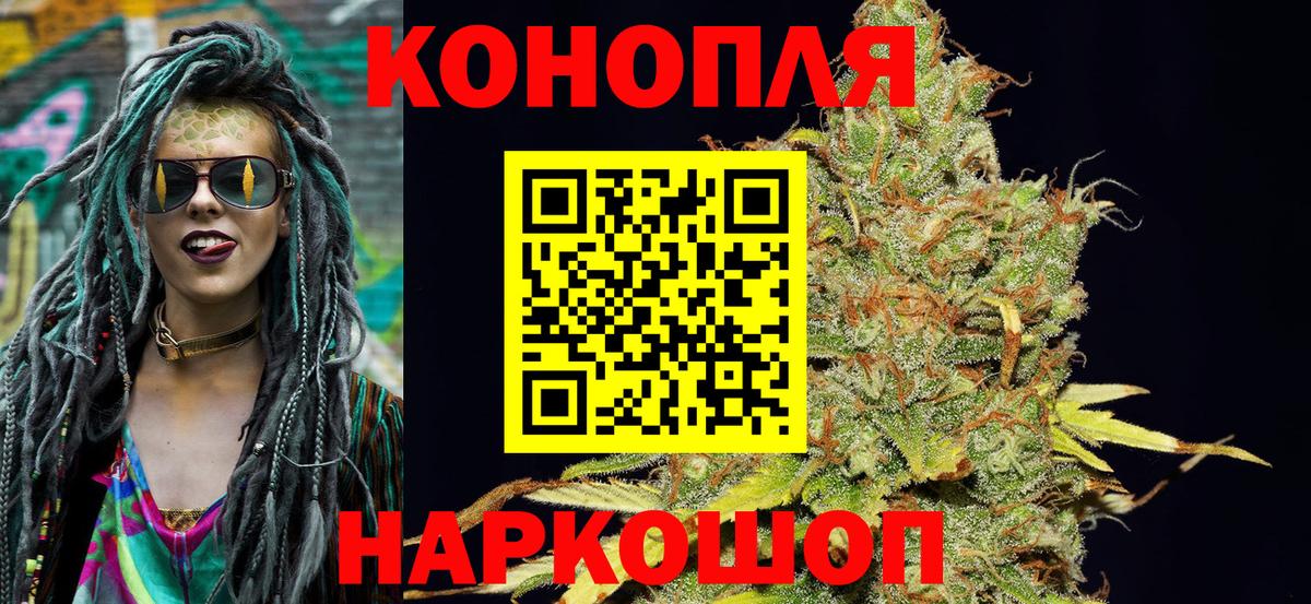 Бошки Шишки конопля Камышин